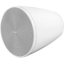 BOSE PRO Enceinte DesignMax DM5P Blanc - La Paire