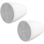 BOSE PRO Enceinte DesignMax DM5P Blanc - La Paire