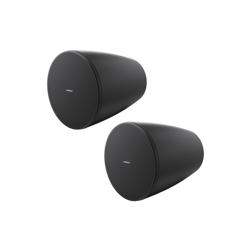BOSE PRO Enceinte DesignMax DM6PE Noir - La Paire