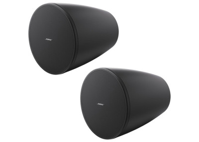 BOSE PRO Enceinte DesignMax DM6PE Noir - La Paire