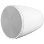 BOSE PRO Enceinte DesignMax DM6PE Blanc - La Paire