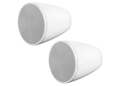 BOSE PRO Enceinte DesignMax DM6PE Blanc - La Paire