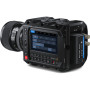 Pack Blackmagic Design Pixys 12K + Video assist + 24-70mm + Micro