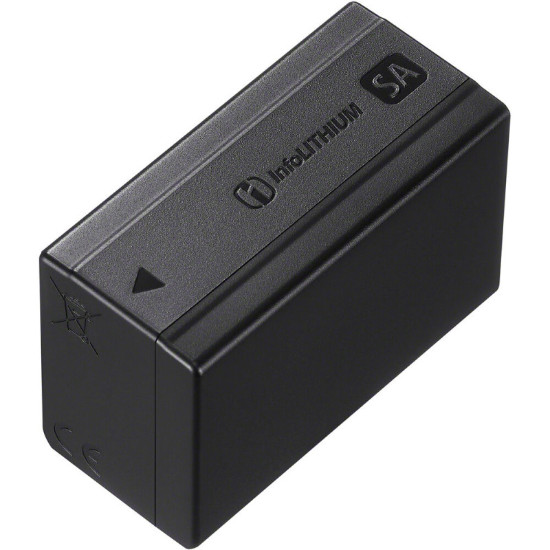 SONY Batterie rechargeable NP-SA100