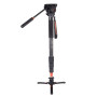 Coman DX428CQ5 Monopode carbone Ø36 mm avec tête vidéo Q5 et trépied 