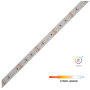 Yuji - BC Séries Ruban à LED bi-couleur 2700-6500K - 12V