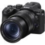 Sony RX10 V Boîtier compact bridge expert zoom puissant
