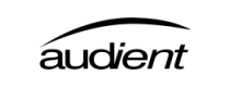 AUDIENT